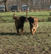 Anton & Melly