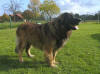 Eros Diego