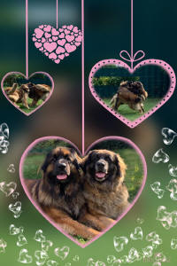 Jessy & Cayman