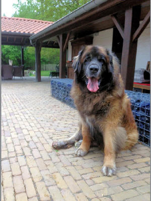 Oskar