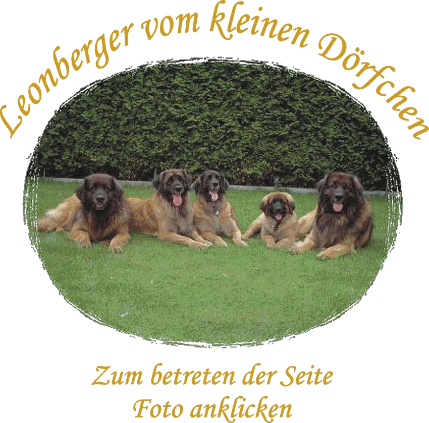 !! Zum betreten der Seite Foto anklicken !!